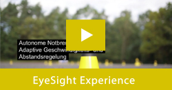 EyeSight VIP Experience