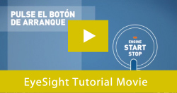 EyeSight Tutorial Movie