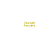 Seguridad Preventiva