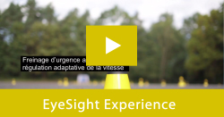 EyeSight VIP Experience