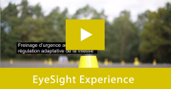 EyeSight VIP Experience