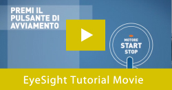 EyeSight Tutorial Movie