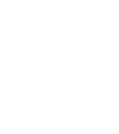 Sicurezza Primaria Subaru