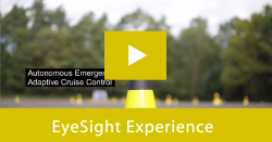 EyeSight VIP Experience