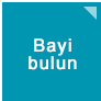 Bayi bulun