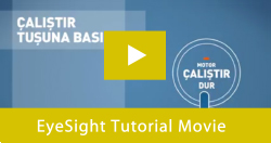 EyeSight Tutorial Movie