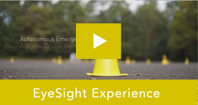 EyeSight Experience